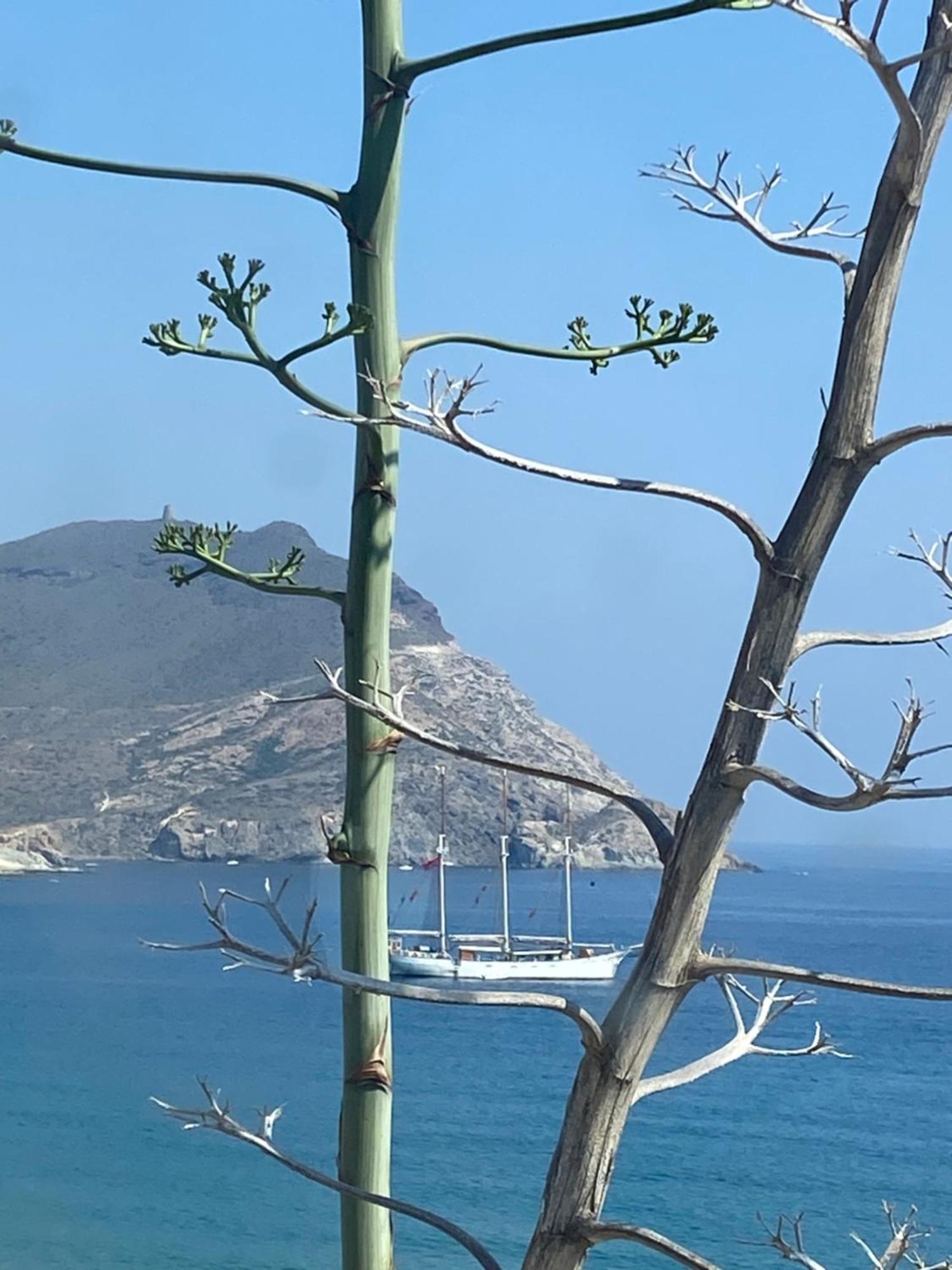 Casa Energia Del Cabo. San Jose Cabo De Gata. Villa Dış mekan fotoğraf